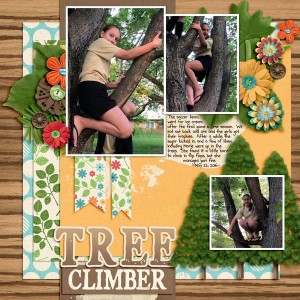 Tree Climber