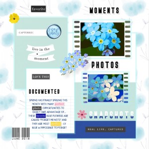 Journaling Challenge-June-Mix WA/Elements With Your Journaling Text-Never Forget