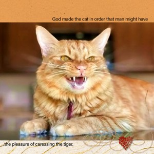 06-18_Touch-the-Tiger