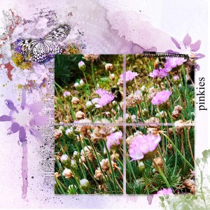 06-18_Pinkies