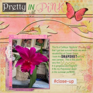 Pretty In Pink