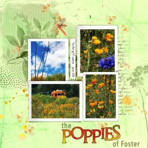 06-18_BYOC_Foster-Poppies