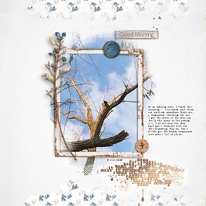 Woodpecker