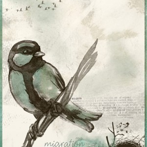 6-18-Monthly Muse_Migration