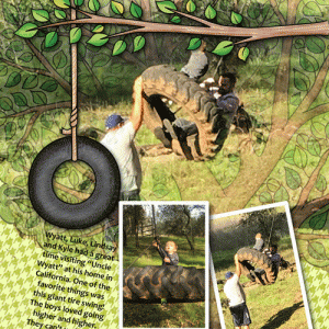 Cayton-tire-swing-web
