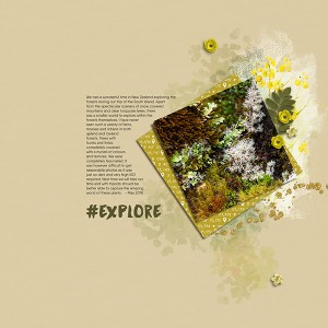 JuneScraplift
