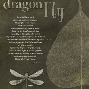 2018-06_June-TLP_AJ_2Week_Dragonfly_web