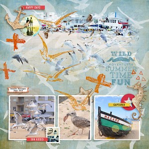 2012 Nazare-Birds On The Beach
