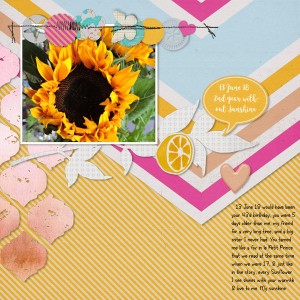 18jun13_sunflower