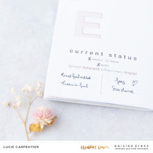 Paislee-Monthly_project-June_projectbyluciecarpentier_02