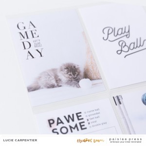 Paislee-Baseball-projectbyluciecarpentier_04
