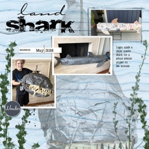 06-18_LandShark