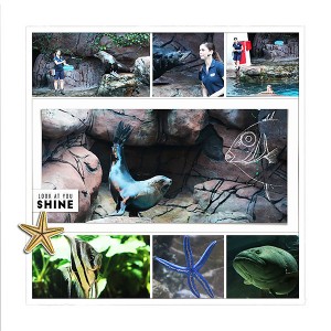 Sealife 2