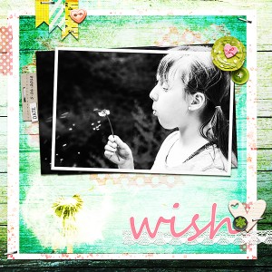 Wish