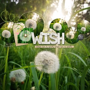 A Wish or A Weed