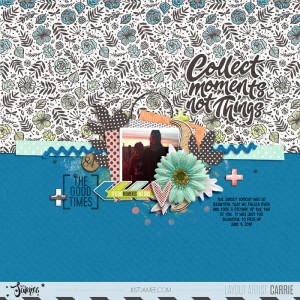 Collect Moments Not Things