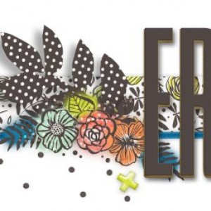 June 2018 New SIggy