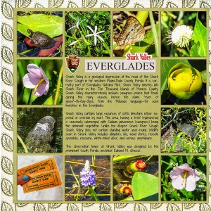 Everglades2_left