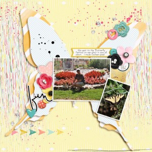 Butterfly Festival
