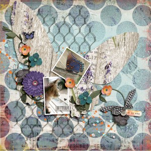 Butterfly
