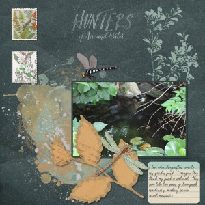 Hunters Of Air & Water