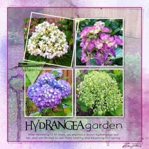 06-18_HydrangeaGarden