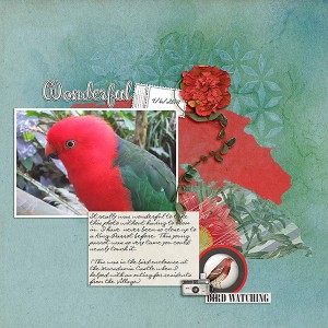Wonderful King Parrot