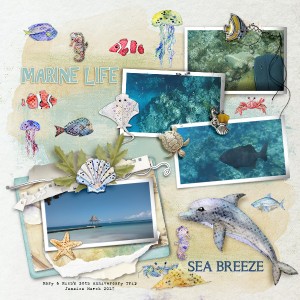 Sea Life