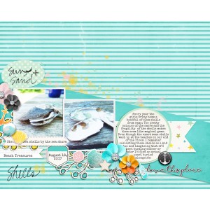 Sea Shells