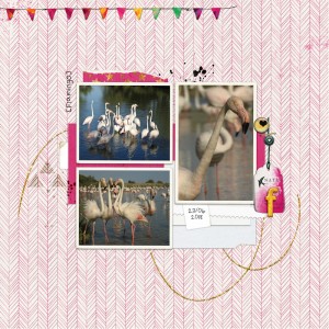 18jun23_flamingo