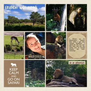 1.39 - Kilimanjaro Safaris