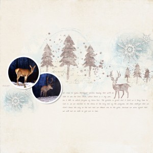 For The Love Of Deers
