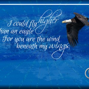 ATC-2018-065-The-Wind-Beneath-My-Wings