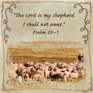 HOS-2_psalm 23