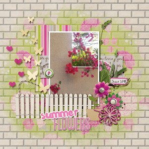 Summer flowers