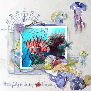 Wonders Of The Sea