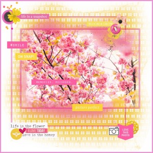 Sara Gleason-June Prompt : Bold Love-Summer Brights