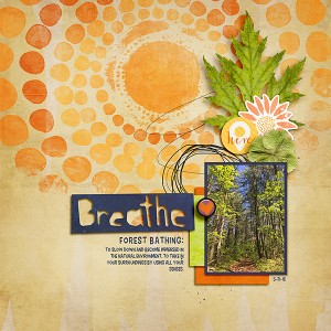Forest Bathing