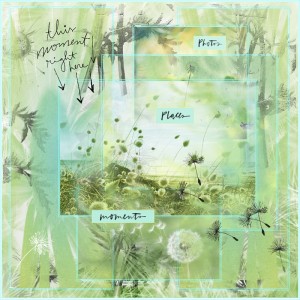 Photography Challenge-July-Scrap Pictures Of Nature-Dandelion Dream