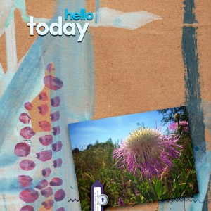 Hellotoday