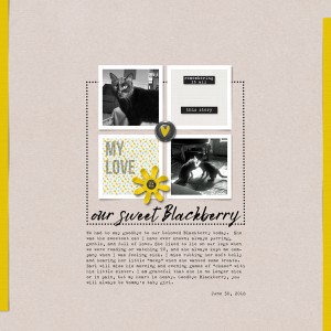 Blackberry
