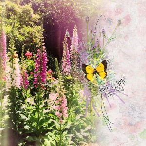 BLOOM AND GROW