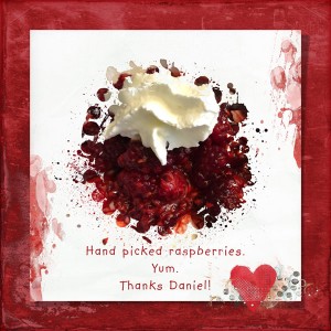 07-18_SIX_Raspberries