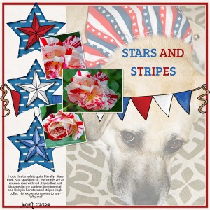 Stars and Stripes - July Challenge
