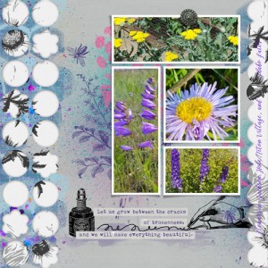 Wildflower