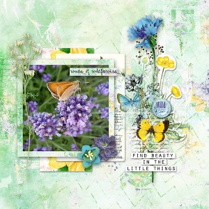 Botanical