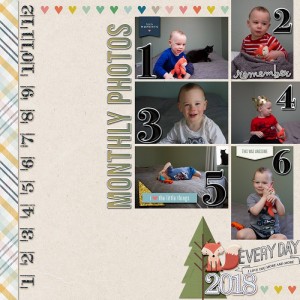 First6Months2018072018IC