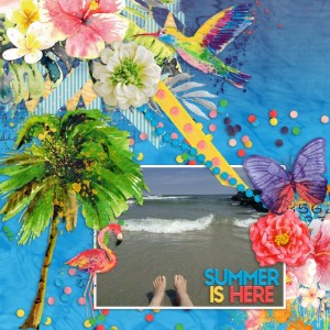 Summer Is Here