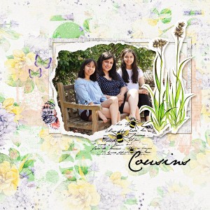 Cousins