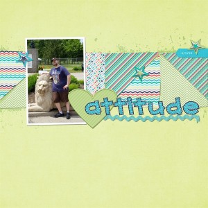 Attitude